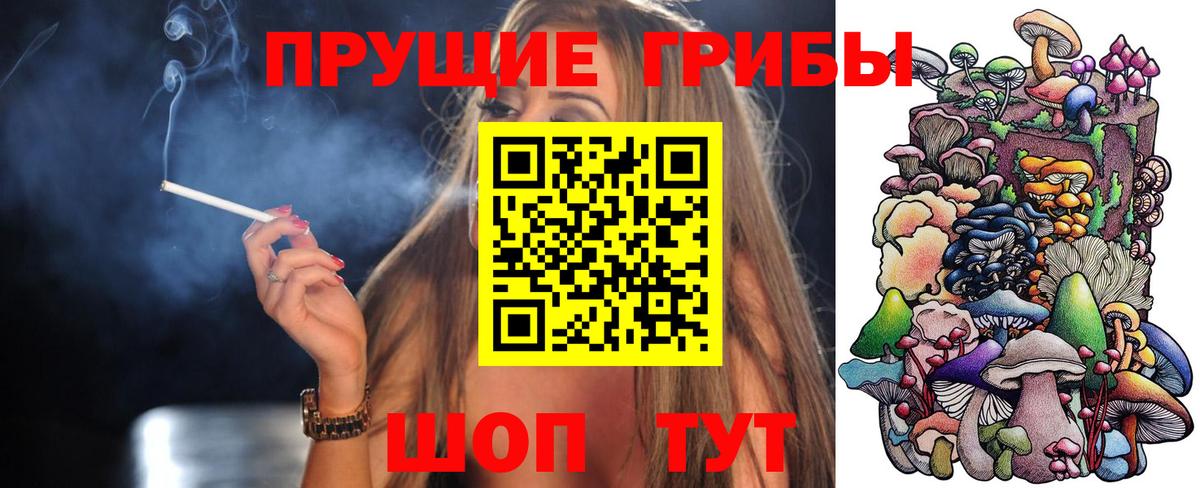 Галлюциногенные грибы Psilocybe  Вход с VPN  Одинцово 